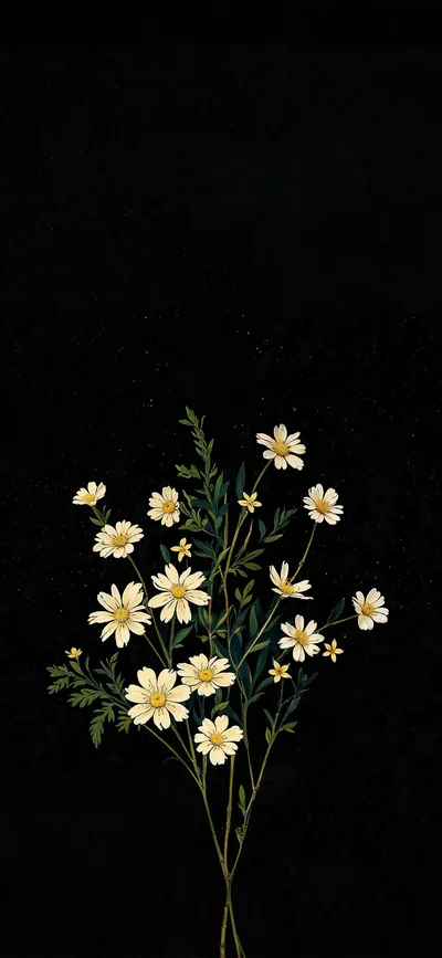 Minimal Spring Flower Iphone Nature Wallpaper 4K 1720x3728 White, Gray