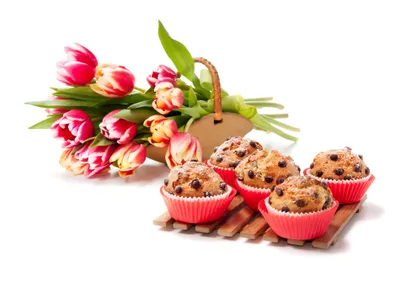 Misty Tulip Wallpaper Nature Wallpaper 4K 3800x2743 Tulip, Flower, Still, Life, Food, Cupcake, Hd, Desktop, White, Landscape, QHD