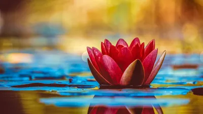 Vibrant General Wallpaper Abstract Wallpaper 4K 5120x2880 Wallpaper, General, 5120x2880, Purple, Orange, Ultrawide, 4k