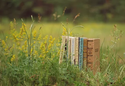 Collection Vintage Books Nature Wallpaper 4K 3270x2271 A, Collection, Of, Vintage, Books, Arranged, Neatly, Amidst, Tall, Green, Grass, Yellow, Gray, Brown, Landscape, QHD
