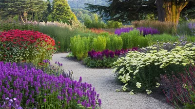 Vibrant Man Garden Winding Nature Wallpaper 4K 1920x1080 A, Vibrant, Man-made, Garden, Featuring, Winding, Path, Surrounded, Lush, Flowers, Rich, Colors, Gray, Ultrawide, Full HD