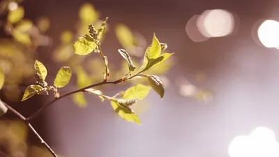 Vivid General Wallpaper Abstract Wallpaper 4K 1920x1080 Wallpaper, General, 1920x1080, Gray, Ultrawide, Full HD