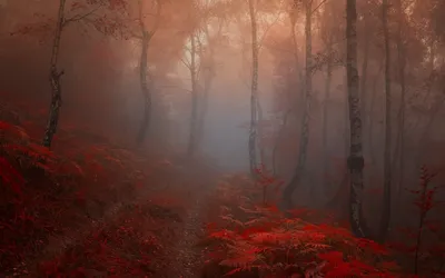 Misty General Wallpaper Abstract Wallpaper 4K 1920x1200 Wallpaper, General, 1920x1200, Gray, Brown, Ultrawide, Full HD