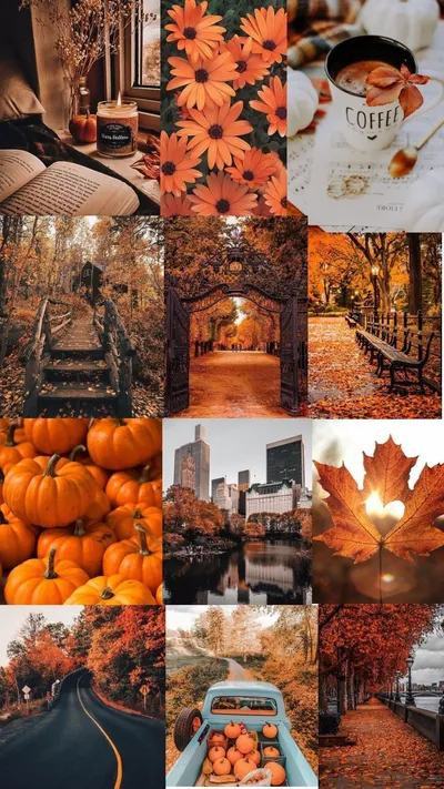 Bold Fall Wallpaper Abstract Wallpaper 4K 1080x1920 White, Gray
