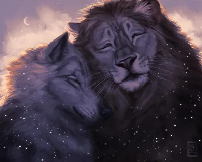 Wolf Lion Iphone Animals Wallpaper 4K 1920x1536 Gray