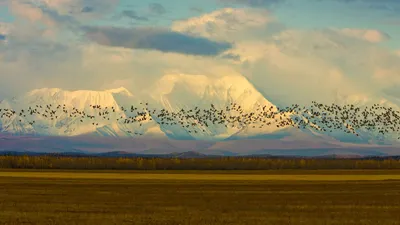 Bold General Wallpaper Abstract Wallpaper 4K 1920x1080 Wallpaper, General, 1920x1080, Gray, Ultrawide, Full HD
