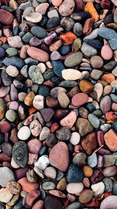 Vibrant Close Wallpaper Wallpaper 4K, Abstract category
