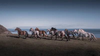 Herd Horses Galloping Animals Wallpaper 4K 3840x2160 Herd, Of, Horses, Galloping, Along, The, Coast, An, Animal, Scene, Rendered, Ultra, Gray, Ultrawide, 4k