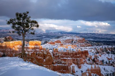 Canyon Utah Tree Snow Winter Nature Wallpaper 4K 2048x1366 Canyon, Utah, Tree, Snow, Winter, Nature, Bryce, National, Park, Desktop, Gray, Landscape, Full HD