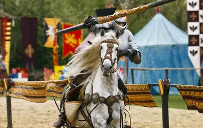 Vibrant Jousting Wallpaper Games Wallpaper 4K 3000x1889 The, Jousting, Game, Gray, White, Ultrawide, QHD