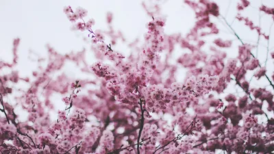 Vivid General Wallpaper Abstract Wallpaper 4K 1920x1080 Wallpaper, General, 1920x1080, White, Ultrawide, Full HD