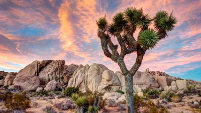 Dramatic Sunset Illuminates Unique Rock Wallpaper 4K, Nature category