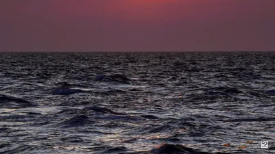 Baltic Twilight Poland Nature Nature Wallpaper 4K 1920x1080 Brown