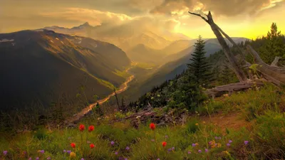 Nature Cave Nature Nature Wallpaper 4K 3840x2160 Orange, Gray