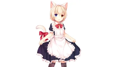 Anime Cute Girl Cat Animals Wallpaper 4K 2147x1208 Hd, Anime, Desktop, Wallpaper, Featuring, A, Cute, Girl, Cat, Ears, Tail, Dressed, White, Ultrawide, Full HD