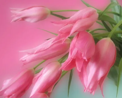 Golden General Wallpaper Abstract Wallpaper 4K 1280x1024 Wallpaper, General, 1280x1024, Pink, Gray, Square