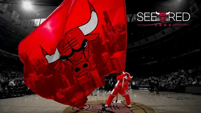 Chicago Bulls Logo Abstract Wallpaper 4K 2560x1440 Hd, Desktop, Wallpaper, Featuring, The, Chicago, Bulls, Logo, See, Red, Slogan, Within, Ultrawide, QHD