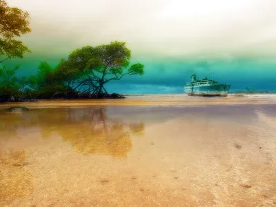 Tropical Beach Shipwreck Mangrove Nature Wallpaper 4K 1600x1200 Hd, Desktop, Wallpaper, Of, A, Tropical, Beach, With, Shipwreck, Mangrove, Trees, Reflected, White, Orange, Landscape