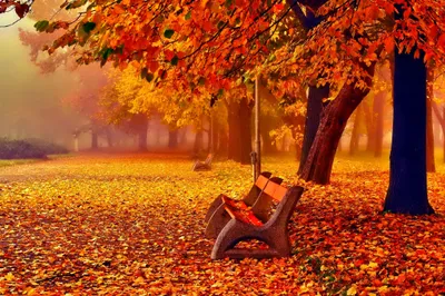 Bench Autumn Park Nature Wallpaper 4K 2048x1365 Bench, In, Autumn, Park, Red, Orange, Ultrawide, Full HD