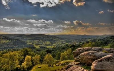 Breathtaking Landscape Dark Forest Wallpaper 4K, Nature category