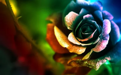 Dark Vibrant Wallpaper Wallpaper 4K, Abstract category