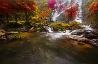Radiant Vibrant Wallpaper Wallpaper 4K, Nature category