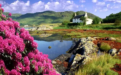 Landscape Photography Serene Countryside Vibrant Nature Wallpaper 4K 1920x1200 Hd, Landscape, Photography, Of, A, Serene, Countryside, Scene, Vibrant, Pink, Flowers, Rocky, White, Gray, Ultrawide, Full HD