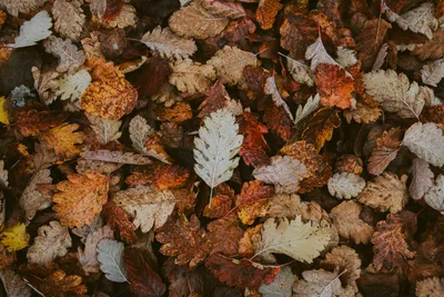 General 5472x3648 Abstract Abstract Wallpaper 4K 5472x3648 Wallpaper, General, 5472x3648, Brown, Gray, Landscape, 4k