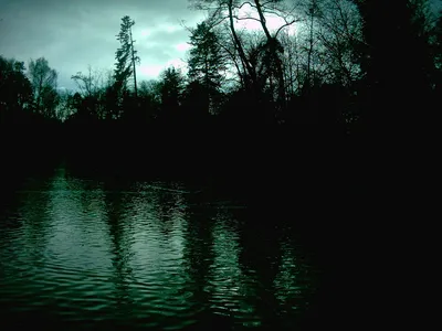 Dark Forest Silhouette Nature Wallpaper 4K 1600x1200 Hd, Desktop, Wallpaper, Featuring, A, Dark, Forest, Silhouette, Reflected, Calm, Water, Under, Gray, Landscape