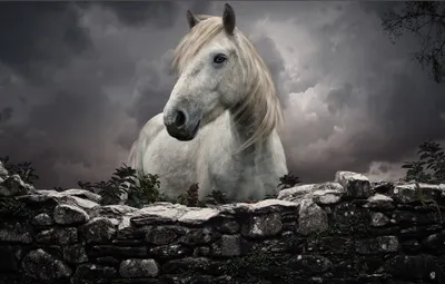 Majestic White Horse Standing Behind Nature Wallpaper 4K 2048x1305 Hd, Pc, Desktop, Wallpaper, Featuring, A, Majestic, White, Horse, Standing, Behind, Stone, Gray, Ultrawide, Full HD