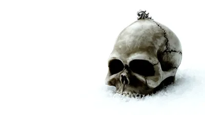 Dark Detailed Skull White Black/Dark Wallpaper 4K 3840x2160 A, Dark, Detailed, Skull, On, White, Background, Rendered, Ultra, Desktop, Ultrawide, 4K