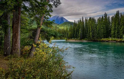 Nature River Nature Nature Wallpaper 4K 1920x1227 Nature, River, Hd, Desktop, Wallpaper, Background, Image, Gray, Ultrawide, Full HD