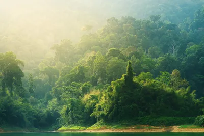 Golden General Wallpaper Abstract Wallpaper 4K 1800x1201 Wallpaper, General, 1800x1201, White, Landscape