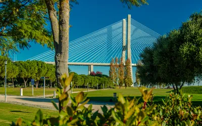 Serene Green Wallpaper World Wallpaper 4K 2560x1600 Green, Blue, And, The, Bridge, Brown, Ultrawide, QHD