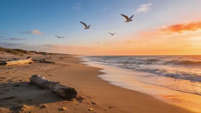 Moody Coast Wallpaper Nature Wallpaper 4K 4096x2304 Coast, At, Golden, Sunset, With, Seagulls, Soaring, Above, Waves, Driftwood, Sand, Coastal, White, Brown, Ultrawide, 4K