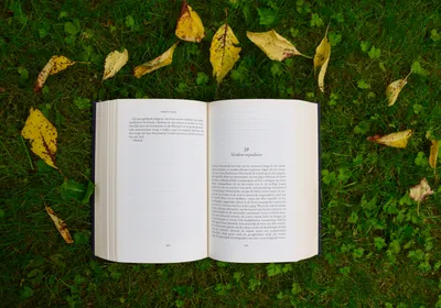 Open Book Lying Wallpaper 4K, Nature category