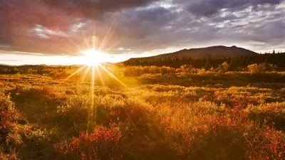 Nature Sunbeam Nature Nature Wallpaper 4K 1920x1080 Nature, Sunbeam, Hd, Desktop, Wallpaper, Background, Image, White, Gray, Ultrawide, Full HD
