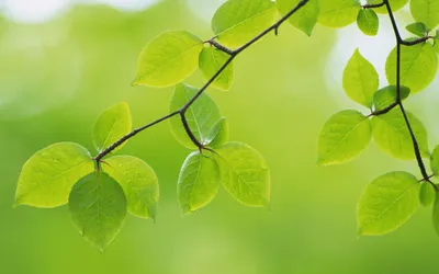 Serene General Wallpaper Abstract Wallpaper 4K 2560x1600 Wallpaper, General, 2560x1600, Yellow, Pink, Ultrawide, QHD