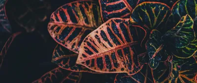 Serene General Wallpaper Abstract Wallpaper 4K 2560x1080 Wallpaper, General, 2560x1080, Black, Ultrawide, QHD