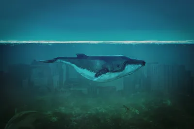 Captivating Majestic Whale Turtle Fantasy Wallpaper 4K 4862x3231 A, Captivating, Hd, Desktop, Wallpaper, Featuring, Majestic, Whale, Turtle, Swimming, Ocean, Submerged, Brown, Ultrawide, 4K