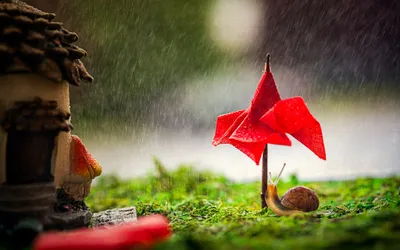 Bright Macro Wallpaper Abstract Wallpaper 4K 2048x1283 Macro, Hd, Desktop, Wallpaper, Featuring, A, Snail, Under, Small, Red, Umbrella, Rain, White, Ultrawide, Full HD