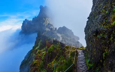 Bright Man Wallpaper Nature Wallpaper 4K 1920x1200 A, Man-made, Stone, Path, Winds, Along, Misty, Mountain, Cliff, Portugal, Captured, Vibrant, Pink, Gray, Ultrawide, Full HD