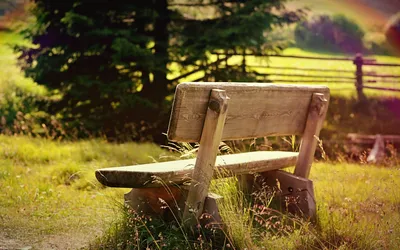 Golden Man Wallpaper Abstract Wallpaper 4K 1920x1200 Man, Made, Bench, Hd, Desktop, Wallpaper, Background, Brown, Ultrawide, Full HD