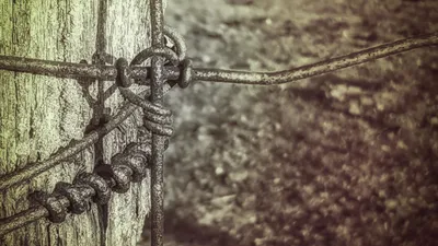 Close Rusted Wire Fence Knotted Abstract Wallpaper 4K 5312x2988 Close-up, Of, Rusted, Wire, Fence, Knotted, Around, A, Weathered, Wooden, Post, Man-made, Gray, Ultrawide, 4k