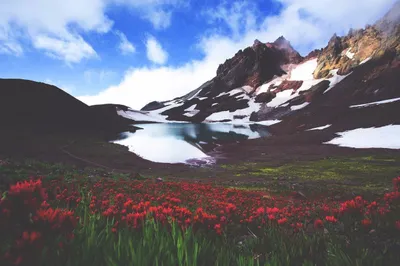 Vibrant General Wallpaper Abstract Wallpaper 4K 1280x853 Wallpaper, General, 1280x853, White, Ultrawide
