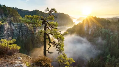 Nature Cave Nature Nature Wallpaper 4K 3840x2160 White