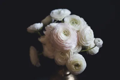 Serene Bouquet Wallpaper Nature Wallpaper 4K 4460x2973 Bouquet, Of, White, Flowers, Ultrawide, 4k