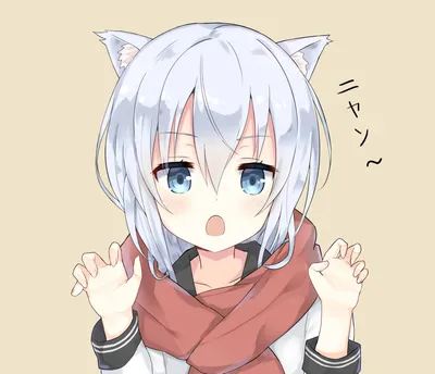 Anime Hibiki Kantai Collection Animals Wallpaper 4K 1920x1650 Anime-style, Hd, Desktop, Wallpaper, Featuring, Hibiki, From, Kantai, Collection, Light, Blue, Hair, White, Square, Full HD
