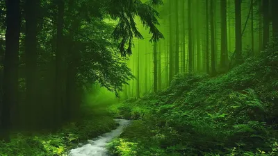 Nature Windows Cave Wallpaper 4K, Nature category