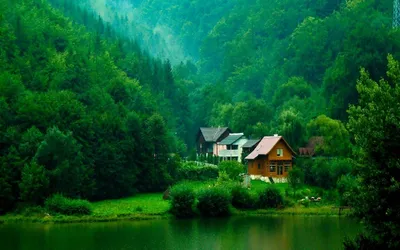 Nature Landscape Wallpaperbat Nature Wallpaper 4K 1920x1200 Purple, Brown